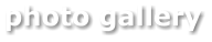 photo gallery